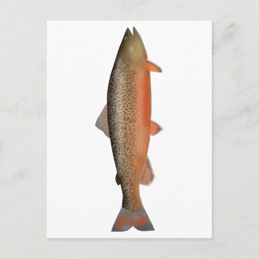 トラウト ポストカード (正面)