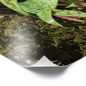 トラウリリフォトプリント フォトプリント            (角)