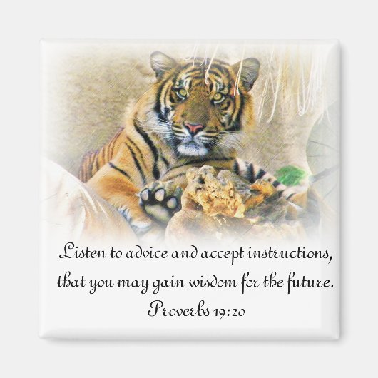 トラガー、探しています マグネット (正面)