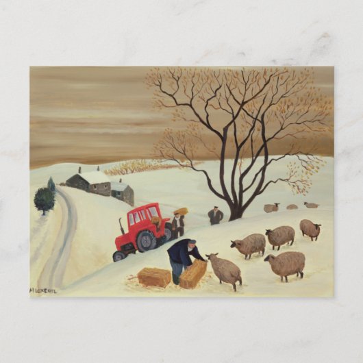 トラクターで干し草を羊に ポストカード (正面)