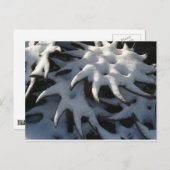 トラクターのカルチィベーターの車輪のクリスマスの郵便はがき シーズンポストカード (正面/裏面)