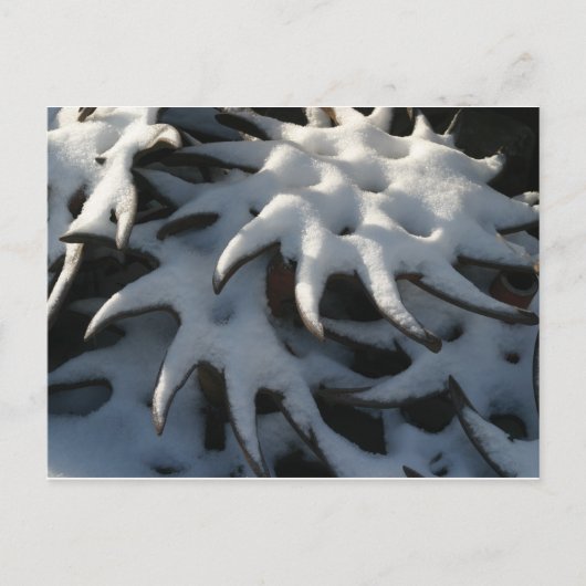 トラクターのカルチィベーターの車輪のクリスマスの郵便はがき シーズンポストカード (正面)