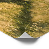 トラクターは小麦、トスカーナ、イタリアを通過 ポスター (角)