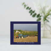 トラクター収穫アーモンド地方スペイン ポストカード (スタンド正面)