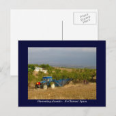 トラクター収穫アーモンド地方スペイン ポストカード (正面/裏面)