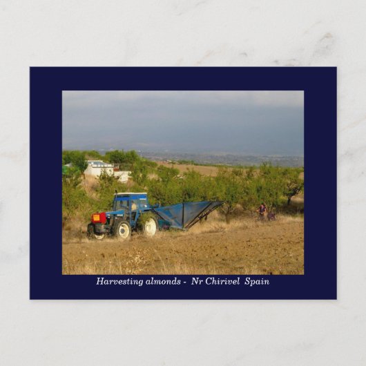 トラクター収穫アーモンド地方スペイン ポストカード (正面)