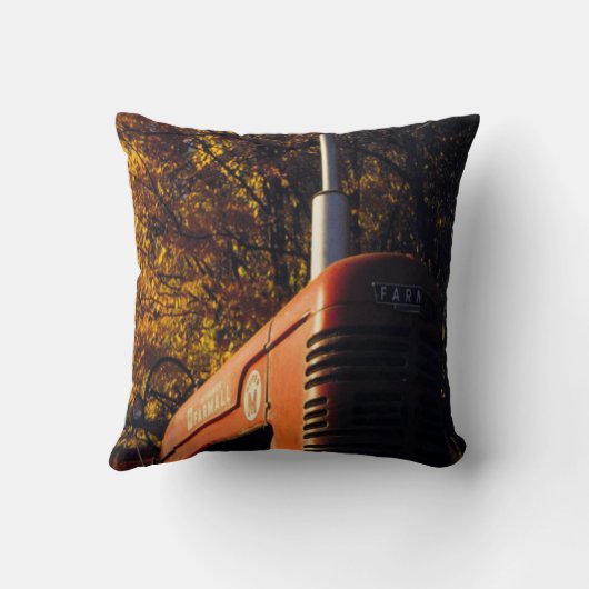 トラクター クッション (裏面)