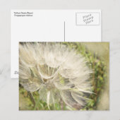 トラゴポゴン – イエローヤギひげ ポストカード (正面/裏面)