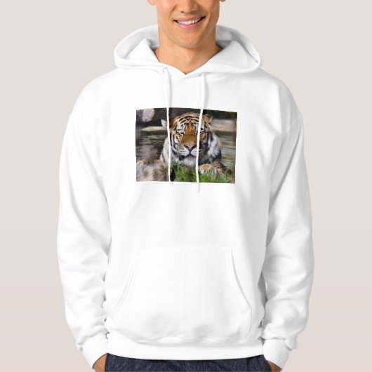 トラタイTシャツ パーカ (正面)