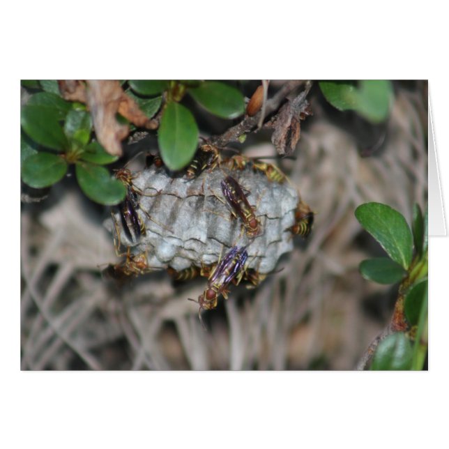 トラッカージャッカー#2 (正面横)