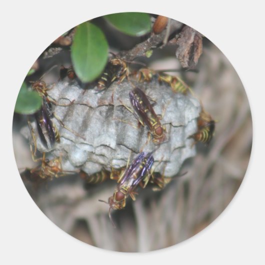 トラッカージャッカー#2 ラウンドシール (正面)