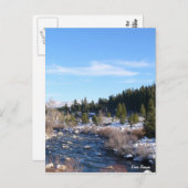 トラッキー川 ポストカード (正面/裏面)