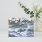 トラッキー川 ポストカード (スタンド正面)