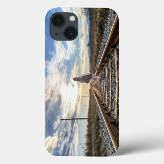 トラックにギターを乗せた少女 Case-Mate iPhoneケース (裏面)