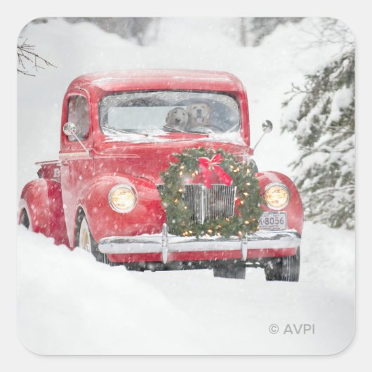 トラックに乗っている犬 スクエアシール (正面)