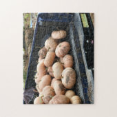 トラックのオータムでカボチャの収穫 ジグソーパズル (縦)