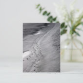 トラックはがき ポストカード (スタンド正面)