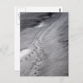 トラックはがき ポストカード (正面/裏面)