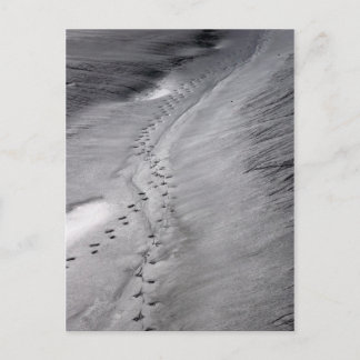 トラックはがき ポストカード