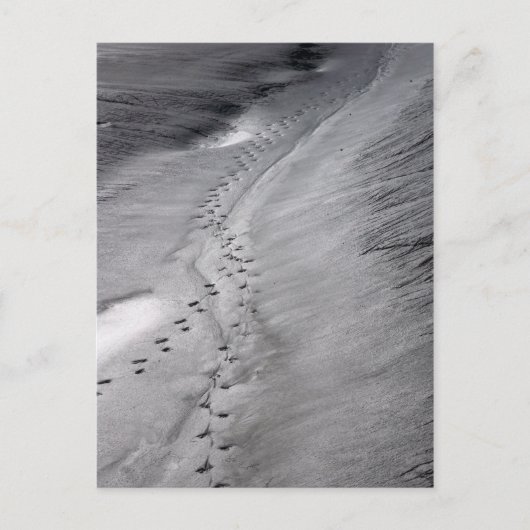 トラックはがき ポストカード (正面)