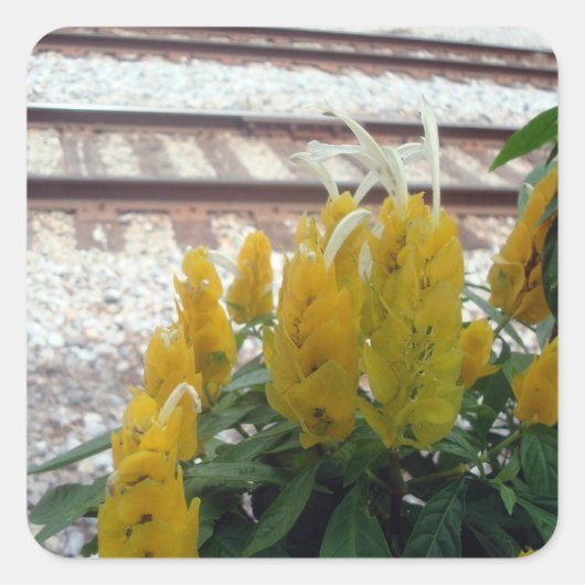 トラックステッカー スクエアシール (正面)