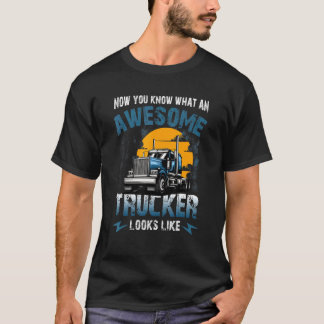 トラック運転手がTrのように見える素晴らしことを知っている Tシャツ