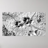 トラック ポスター (正面)