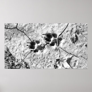 トラック ポスター