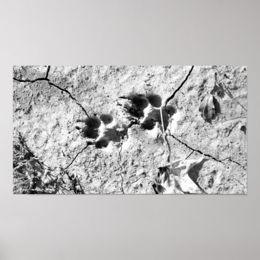 トラック ポスター (正面)