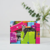 トラディショナルなキジ柄の子猫の誕生日 ポストカード (スタンド正面)