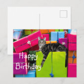 トラディショナルなキジ柄の子猫の誕生日 ポストカード (正面/裏面)