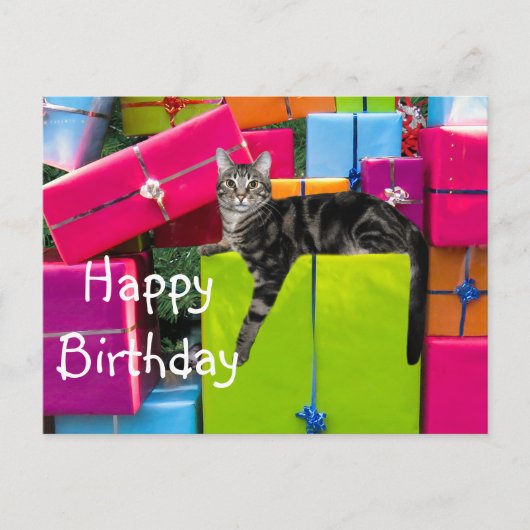 トラディショナルなキジ柄の子猫の誕生日 ポストカード (正面)