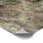 トラディットグランジを使用したアートヴィンテージのテクスチャ付き背景 ポスター (角)