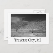 トラバースシティさくらんぼオーチャード ポストカード (正面/裏面)