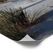 トラバース・ダンズとソアプツリーユッカ ポスター (角)