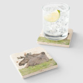 トラバーチン石コースター（ムース付） ストーンコースター (横)