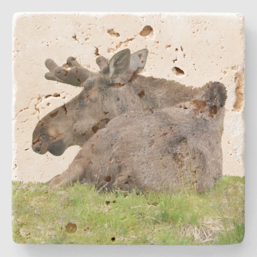 トラバーチン石コースター（ムース付） ストーンコースター (正面)