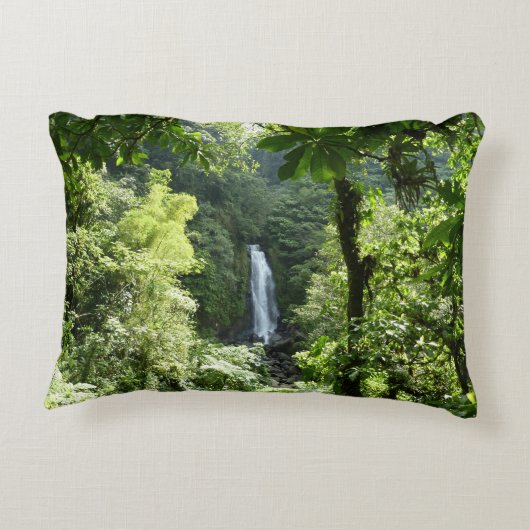トラファルガー滝熱帯雨林写真 アクセントクッション (裏面)