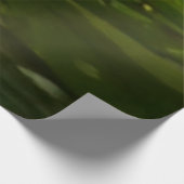 トラファルガー滝熱帯雨林写真 ウッドポスター (コーナー)