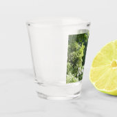 トラファルガー滝熱帯雨林写真 ショットグラス (左)