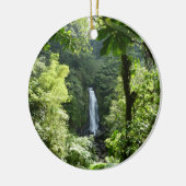 トラファルガー滝熱帯雨林写真 セラミックオーナメント (左)