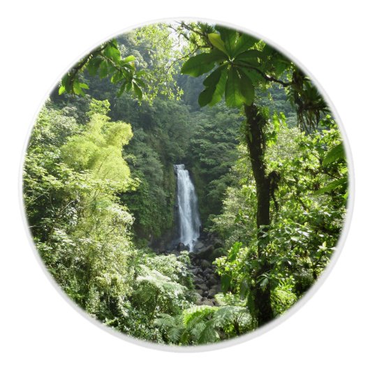 トラファルガー滝熱帯雨林写真 セラミックノブ (正面)