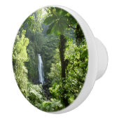 トラファルガー滝熱帯雨林写真 セラミックノブ (右)