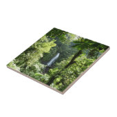 トラファルガー滝熱帯雨林写真 タイル (側面)