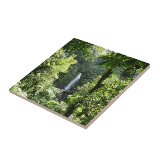 トラファルガー滝熱帯雨林写真 タイル (側面)