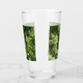 トラファルガー滝熱帯雨林写真 タンブラーグラス (左)