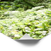 トラファルガー滝熱帯雨林写真 ポスター (コーナー)