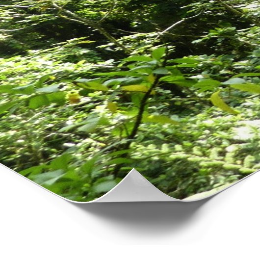 トラファルガー滝熱帯雨林写真 ポスター (角)