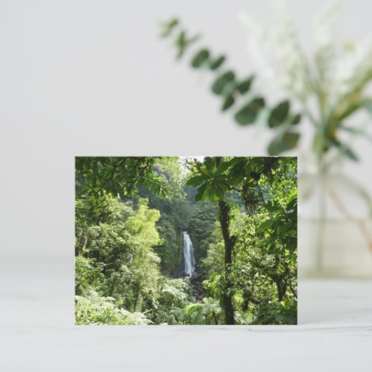 トラファルガー滝熱帯雨林写真 ポストカード (スタンド正面)
