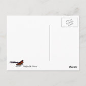 トラファルガー滝熱帯雨林写真 ポストカード (裏面)